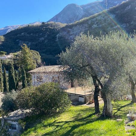 Olive Grove House Apartman Malcesine Kültér fotó