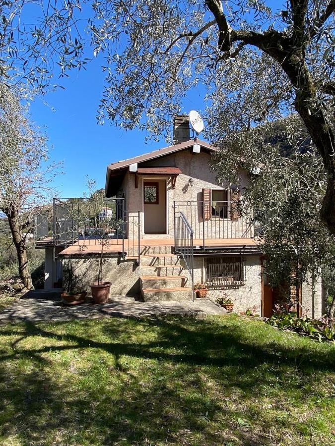 Olive Grove House Apartman Malcesine Kültér fotó