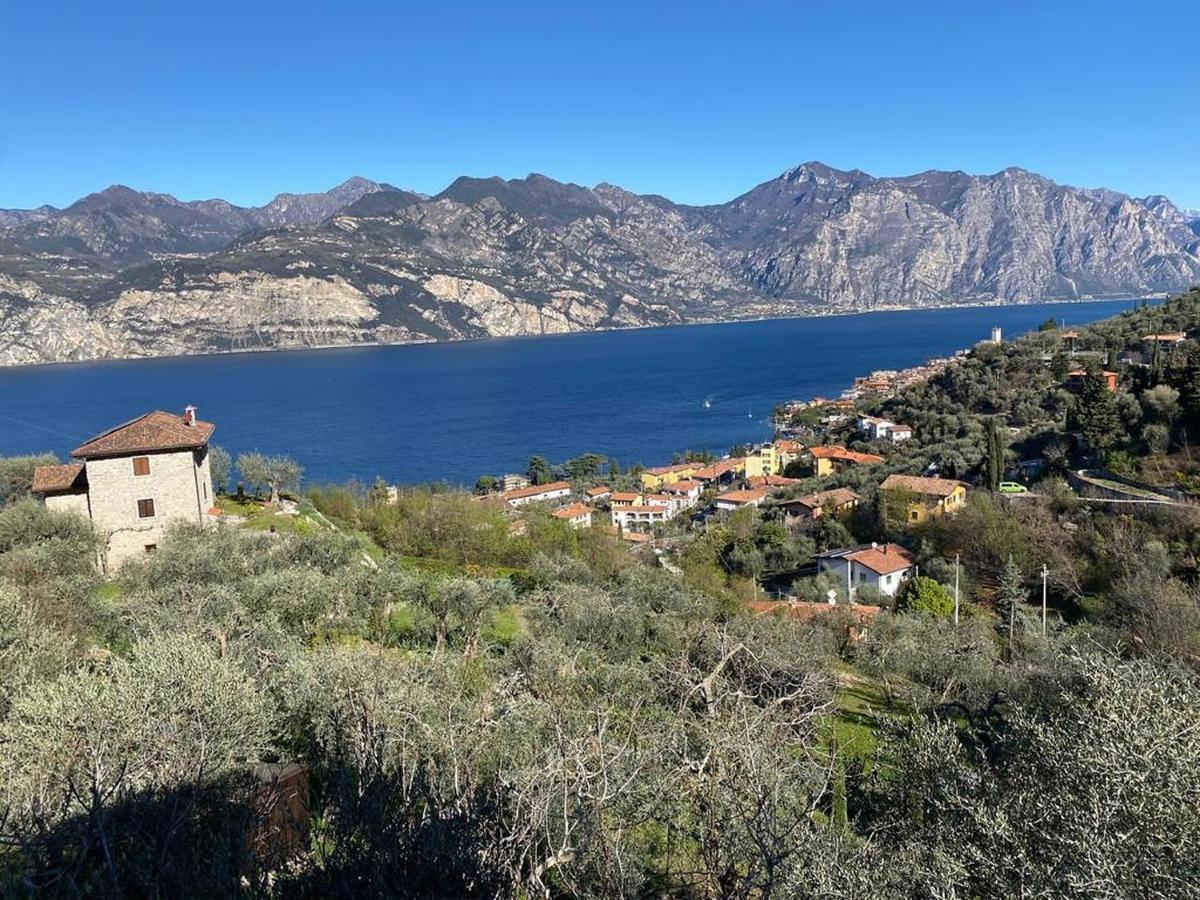 Olive Grove House Apartman Malcesine Kültér fotó